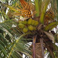 inspiration - outside 23.jpg